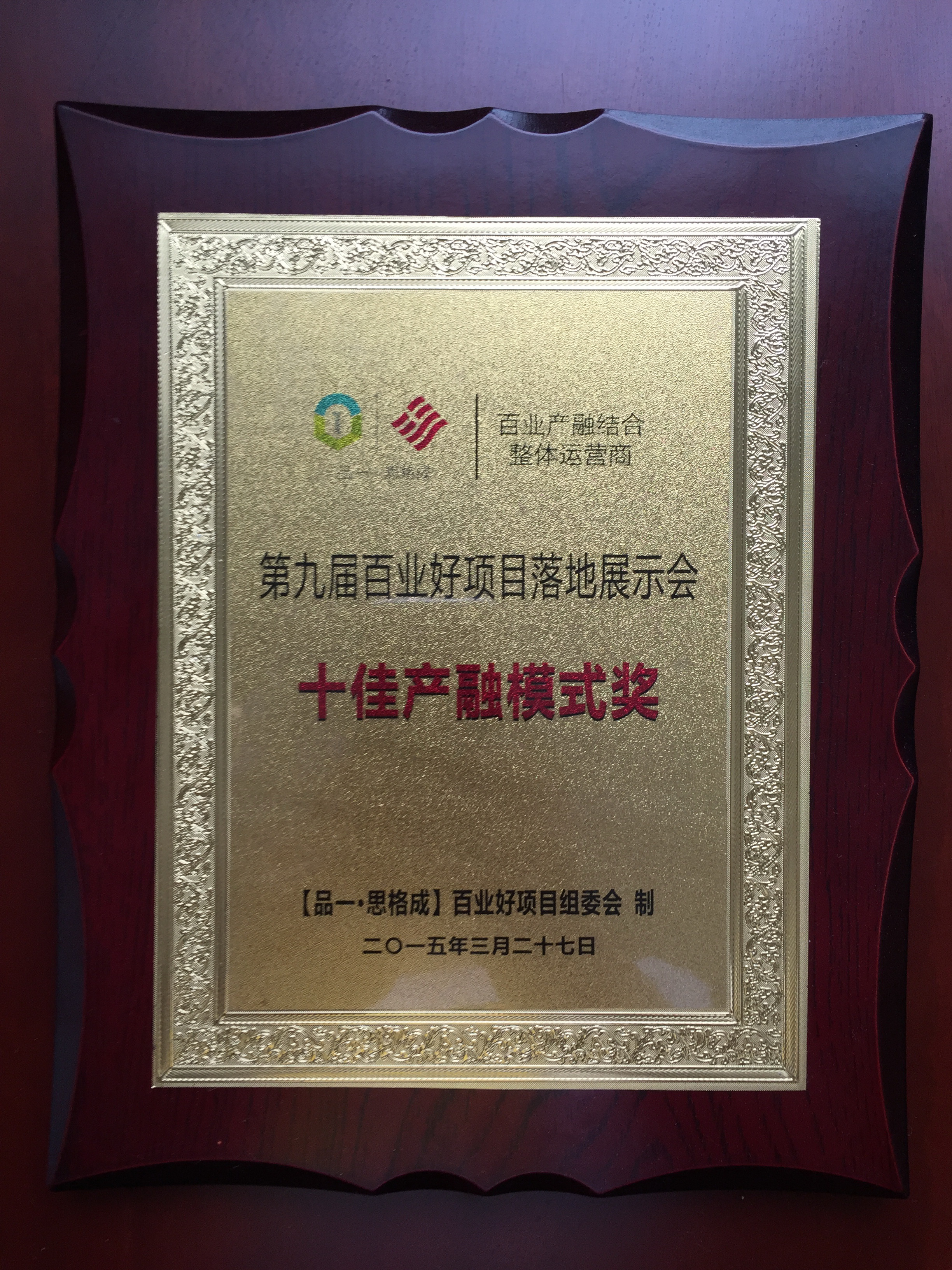 十佳产融模式
