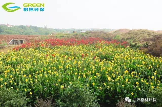 污水處理運營