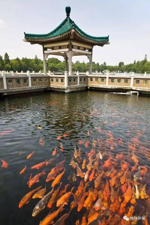 污水处理运营